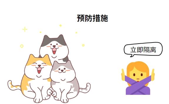 猫鼻支会不会传染给人？