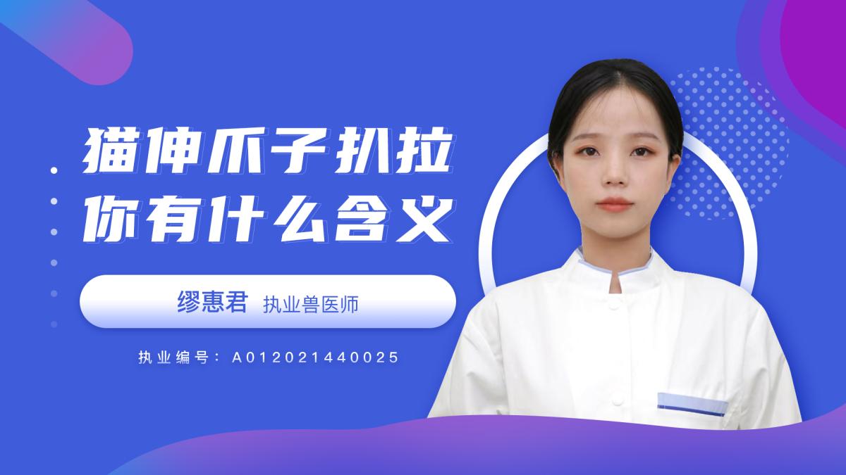 貓咪伸爪子扒拉你有什麼含義呢？