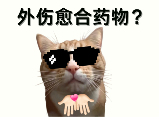 猫咪外伤用什么药？