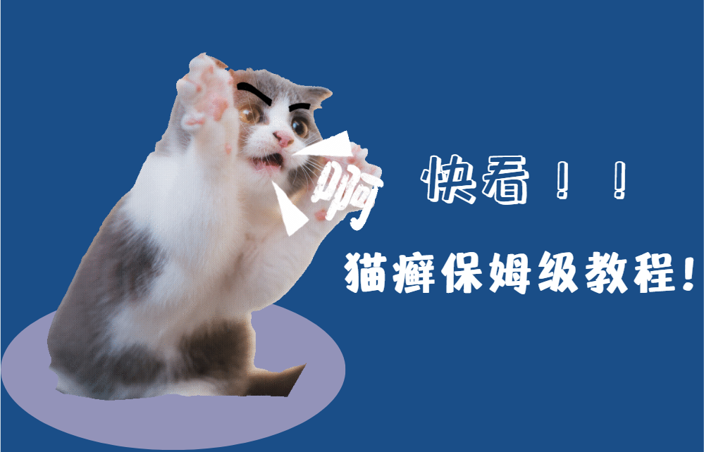 治疗真菌猫癣的办法