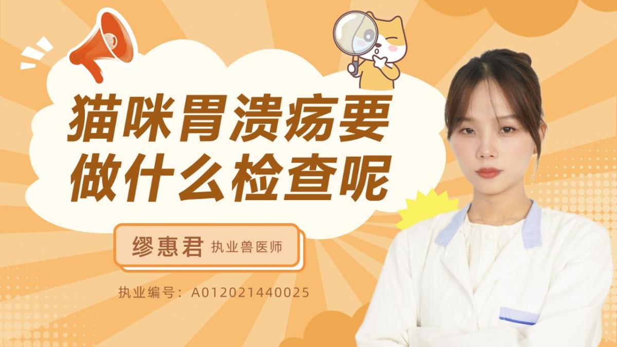 猫咪胃溃疡要做什么检查呢？