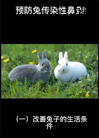 预防兔子传染性鼻炎