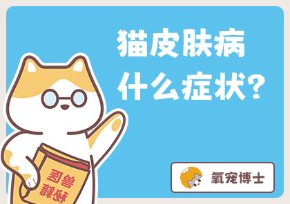 不懂就问：猫得了皮肤病是什么症状？