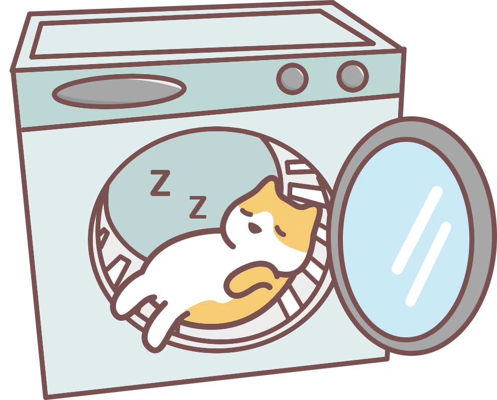 路上捡的小猫带回家怎么办