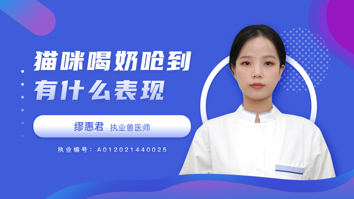 猫咪喝奶呛到有什么表现？