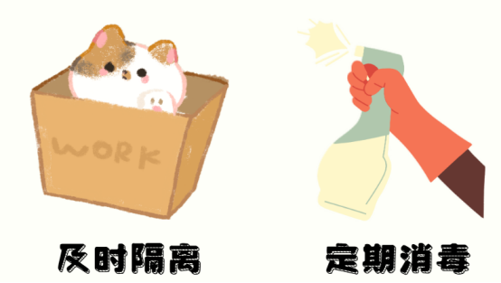 貓癬用什么藥效果好