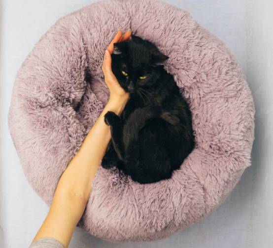 猫窝有必要买吗？