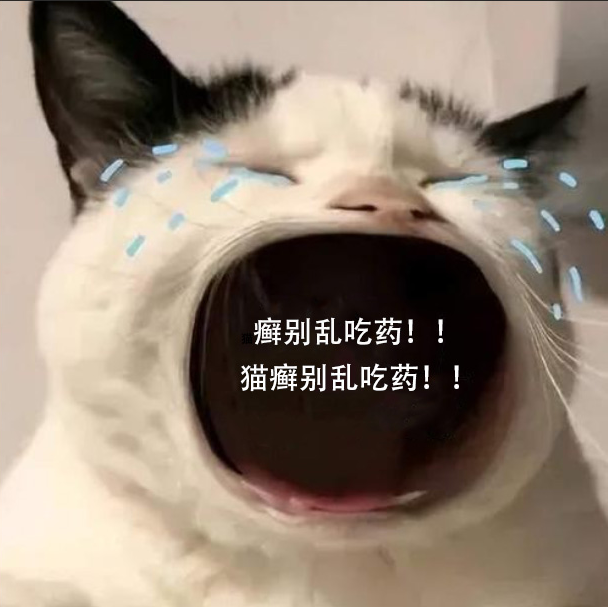 2个月小猫得了猫癣怎么办？