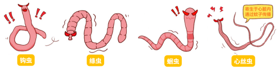 狗狗吃什么藥驅(qū)蟲？