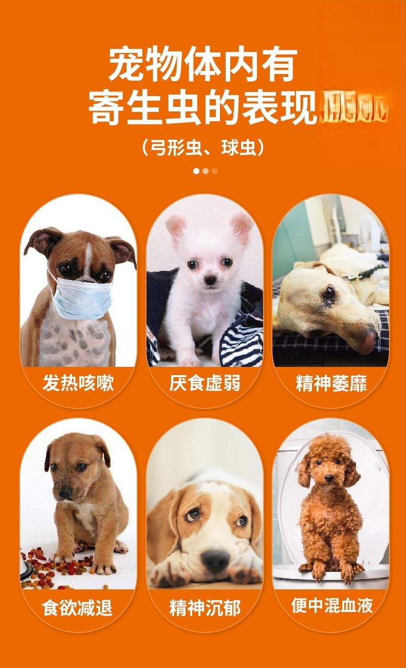 犬猫精神沉郁