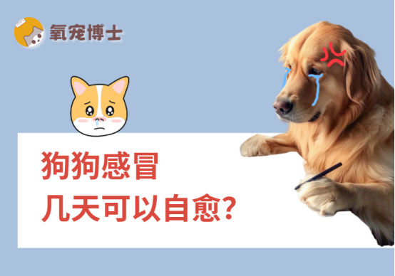 狗狗感冒几天可以自愈？