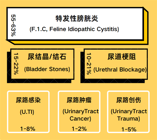 猫尿闭的原因