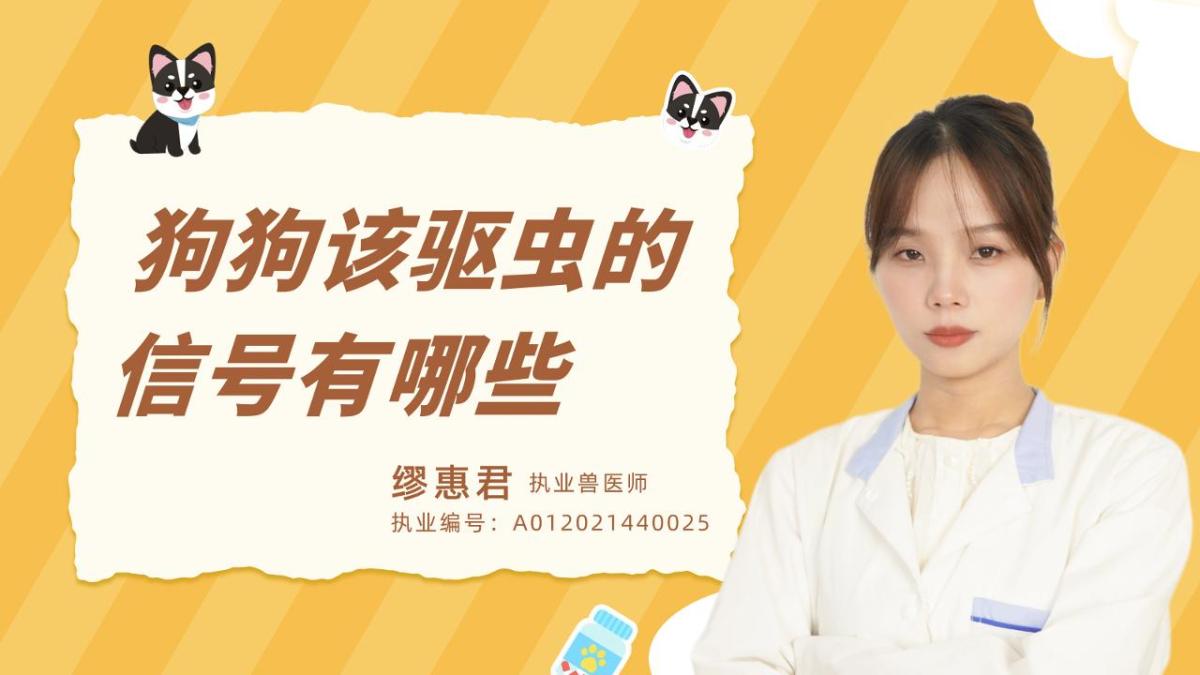 狗狗该驱虫的信号有哪些？