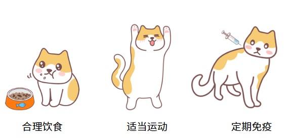 猫疱疹病毒困扰，自愈有解吗？