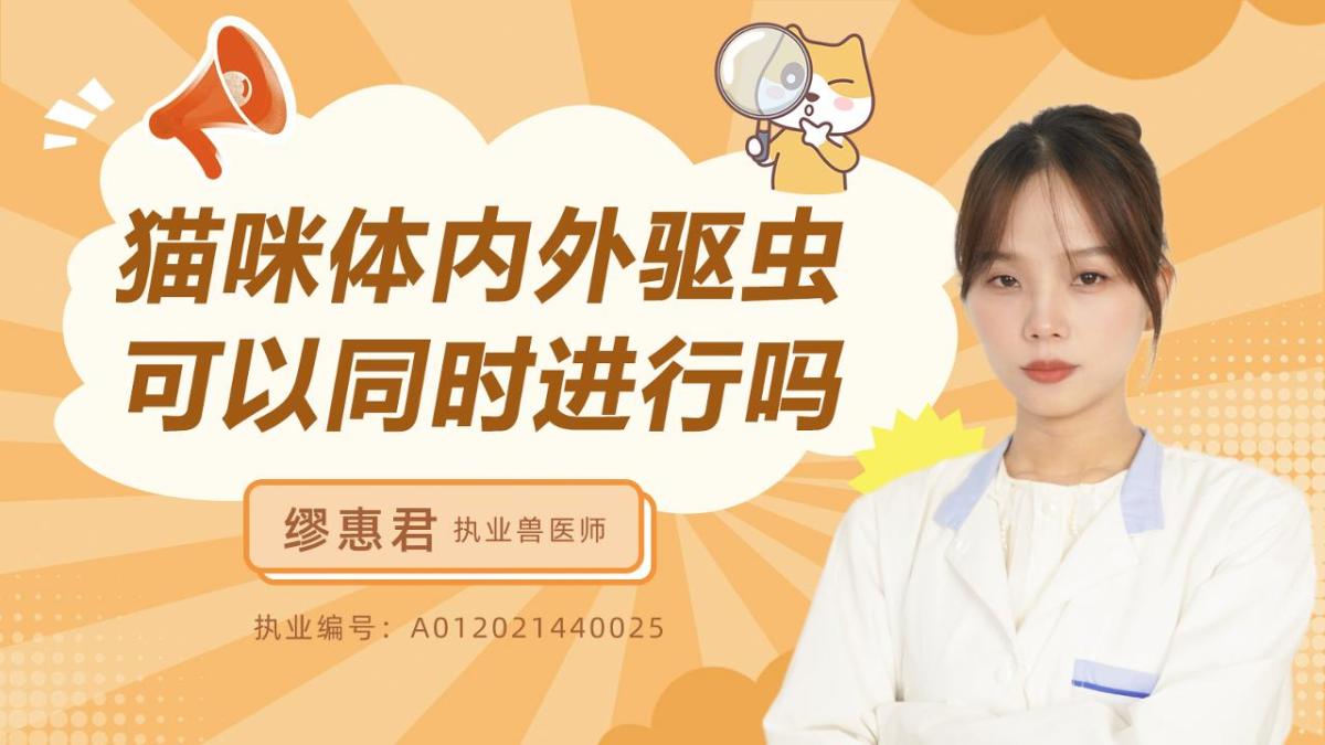 猫咪体内外驱虫可以同时进行吗？