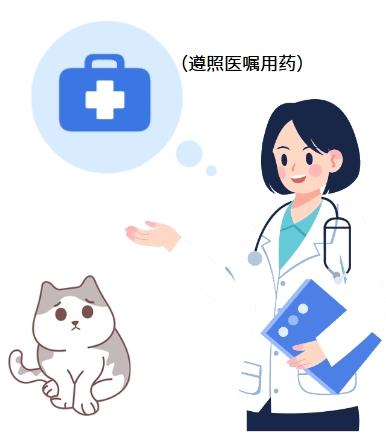 猫咪得猫鼻支需要补充哪些营养？