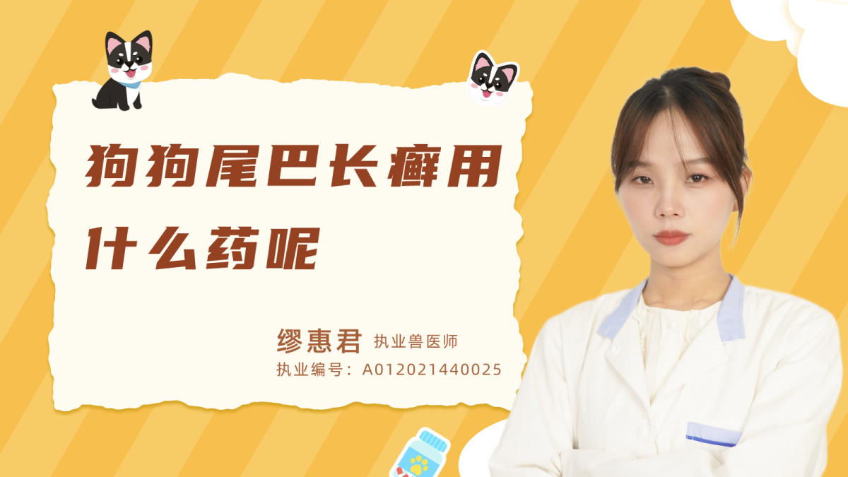 狗狗尾巴長癬用什麼藥呢？