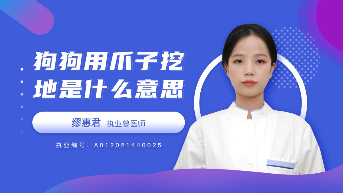 狗狗用爪子挖地什么意思？