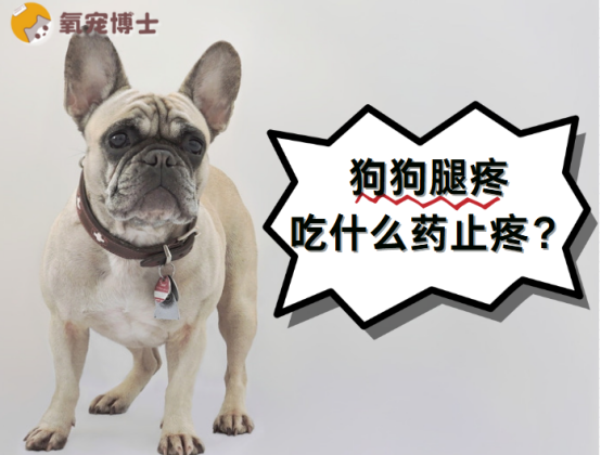 狗狗腿疼吃什么药止疼？