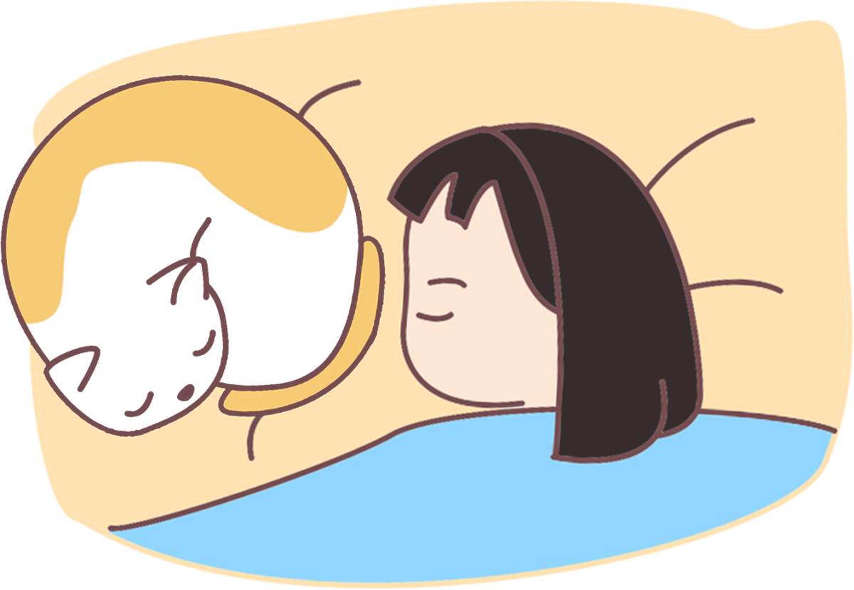 猫咪早上一直叫是怎么回事？