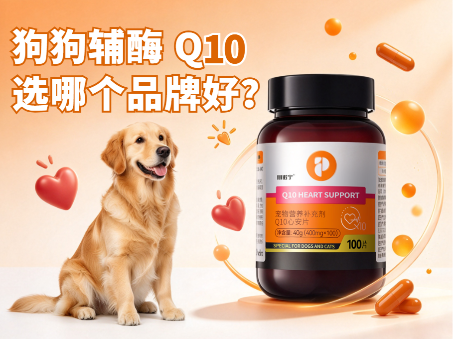 狗狗辅酶Q10选哪个品牌好