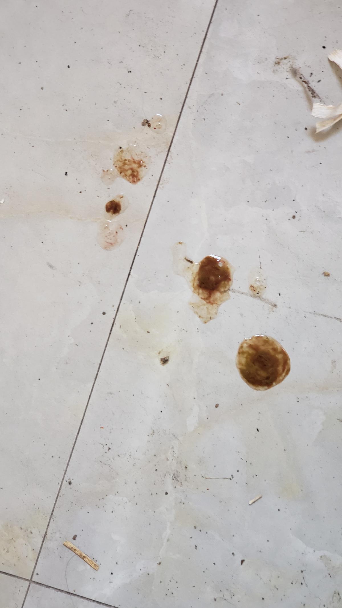 https://s.isdpp.com/images/1nUGrk2yTi2xOwLO