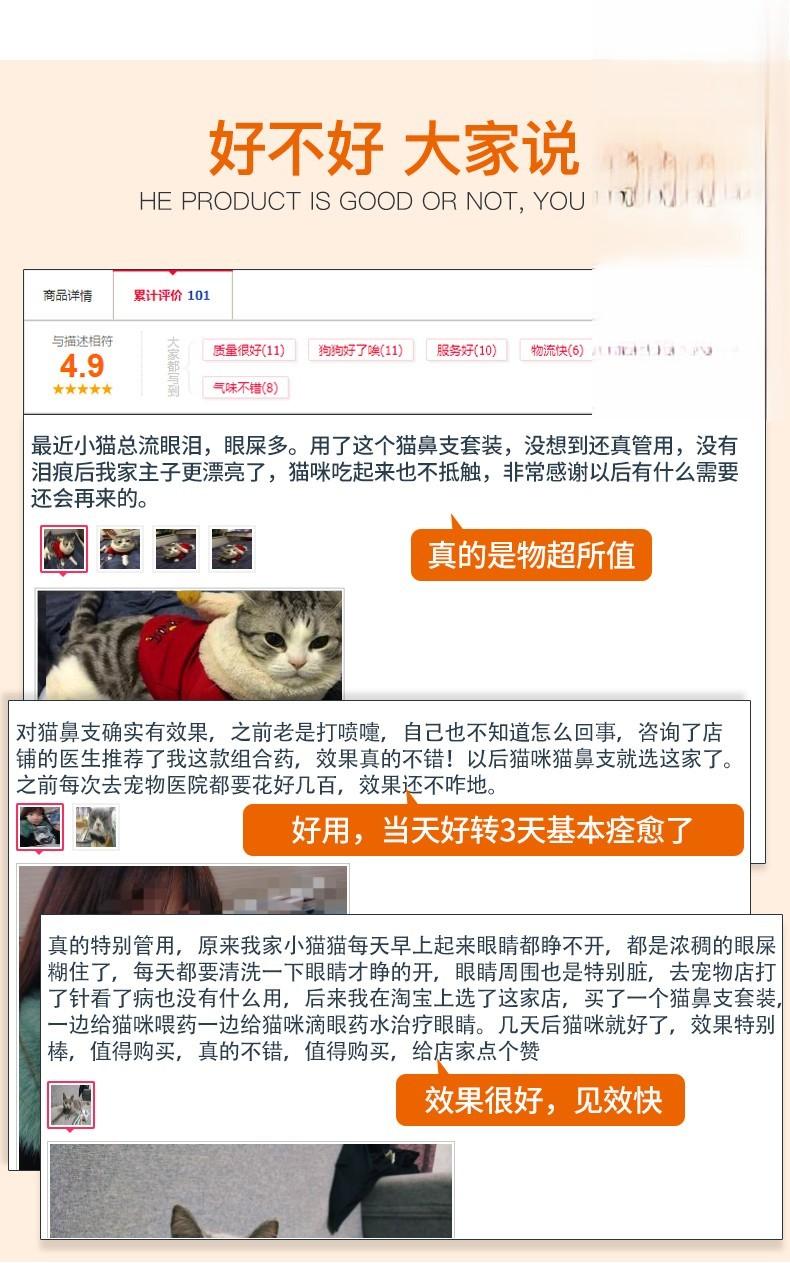 猫支片好评