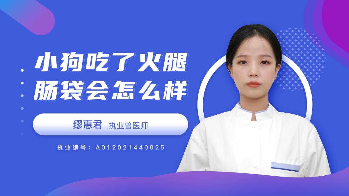 小狗吃了火腿肠袋会怎么样？