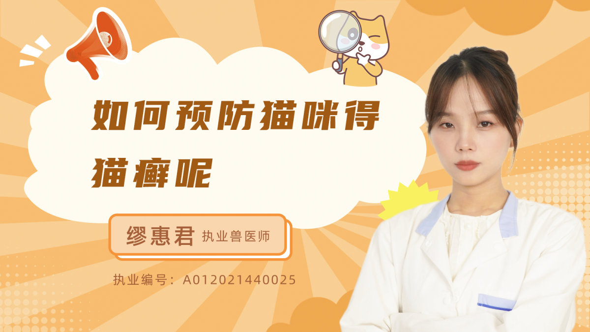 如何预防猫咪得猫癣呢？