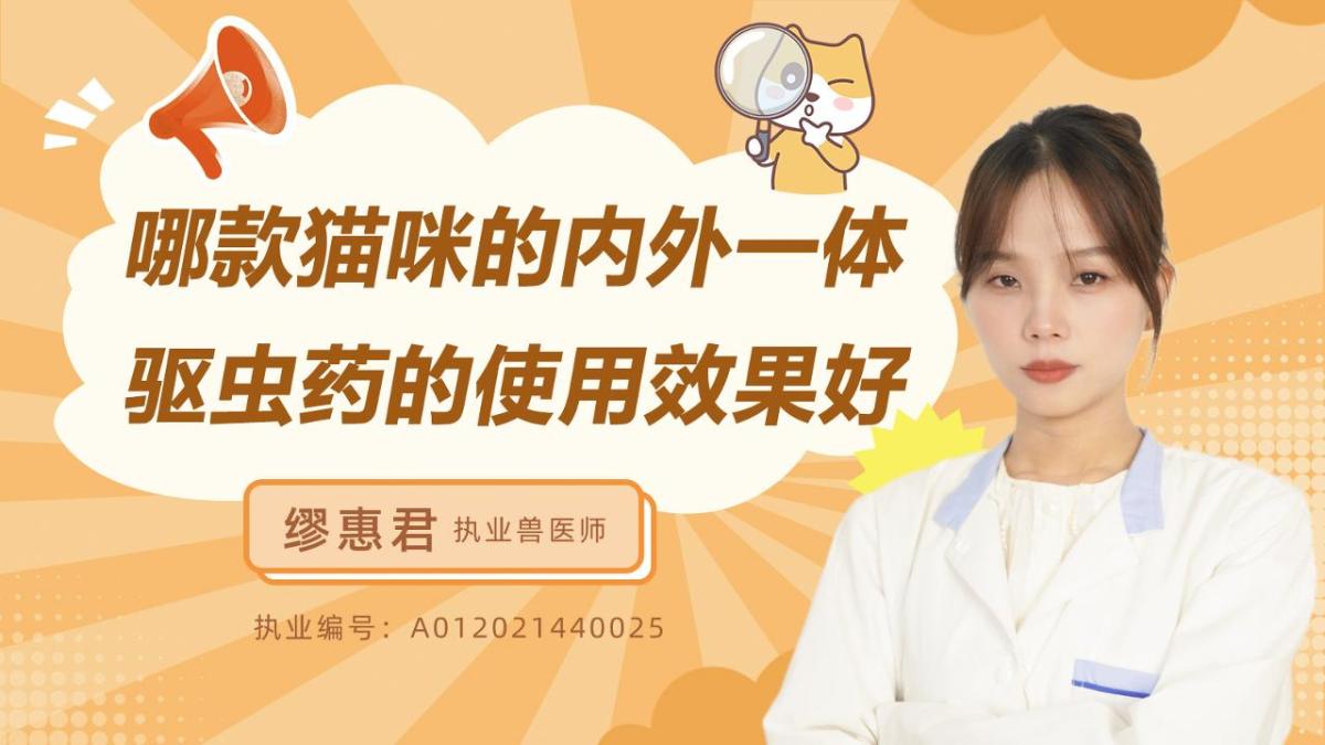 哪款猫咪的内外一体驱虫药的使用效果好