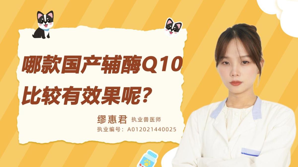 哪款国产辅酶Q10比较有效果呢？