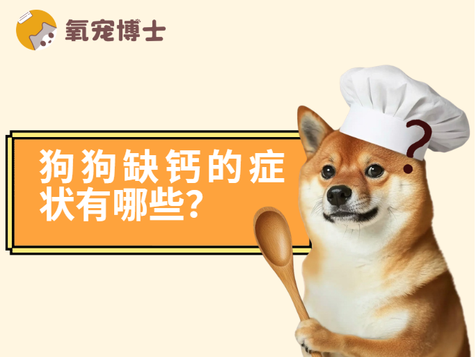 雙排牙、O型腿…狗狗缺鈣的症狀還有哪些？