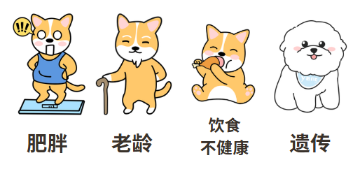 狗狗心髒肥大