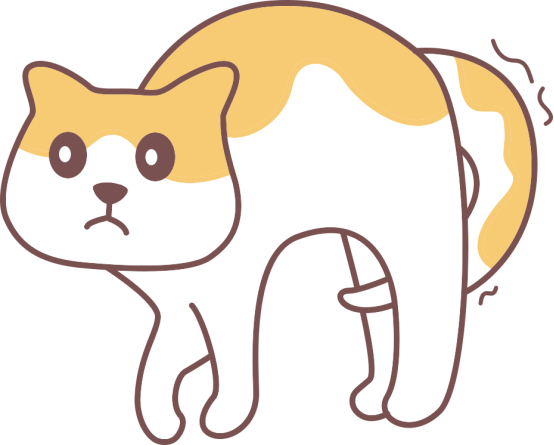 猫尿血怎么回事