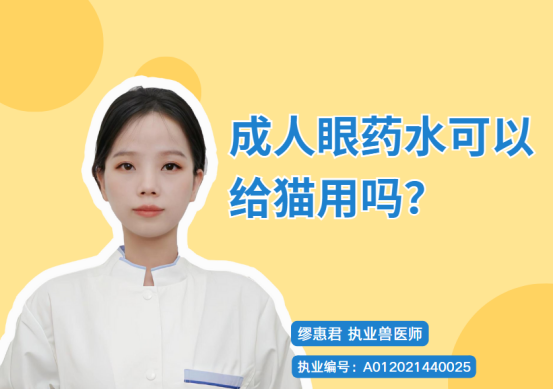 成人眼药水可以给猫用吗？