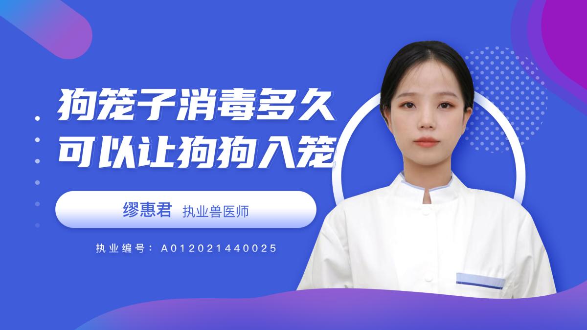 狗笼子消毒多久可以让狗狗入笼？