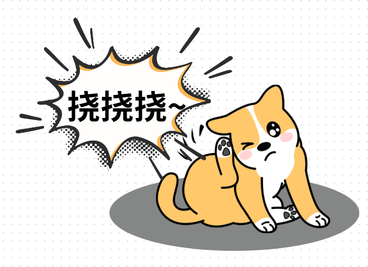 狗狗老是用后脚挠耳朵是怎么回事？