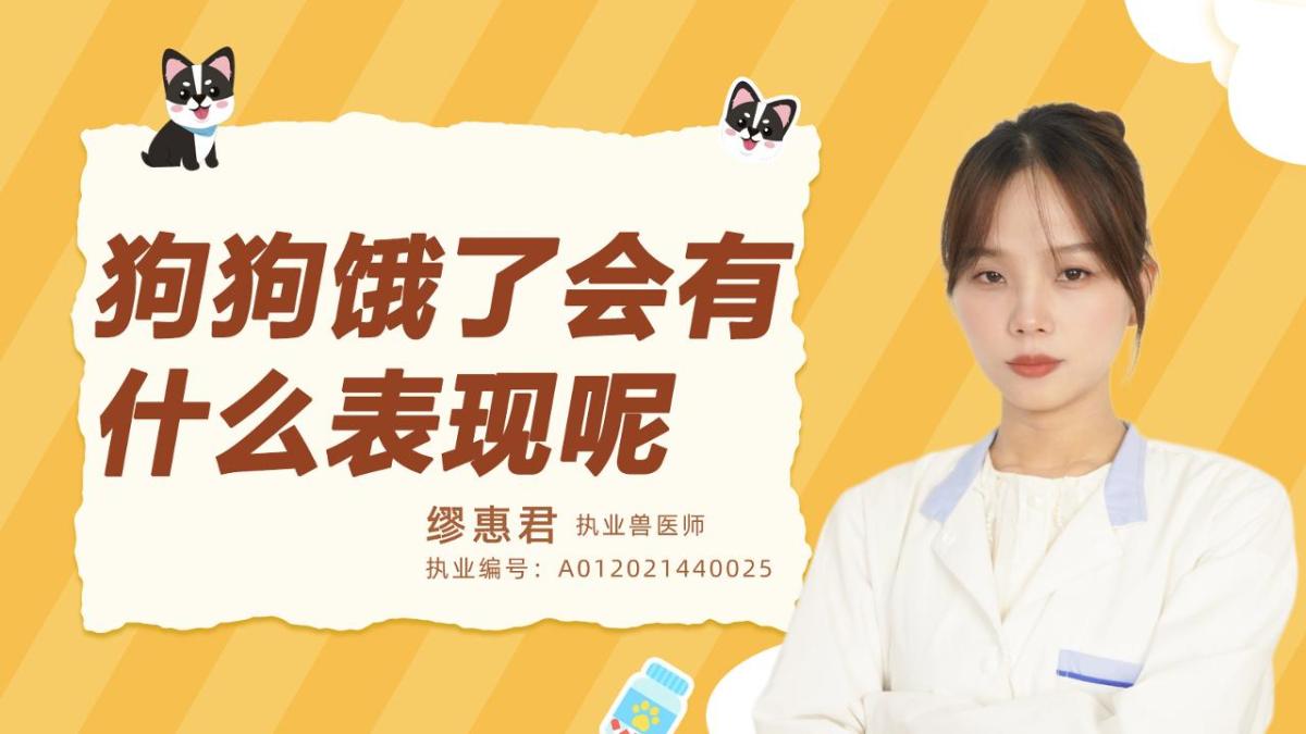 狗狗餓了會有什麼表現呢？