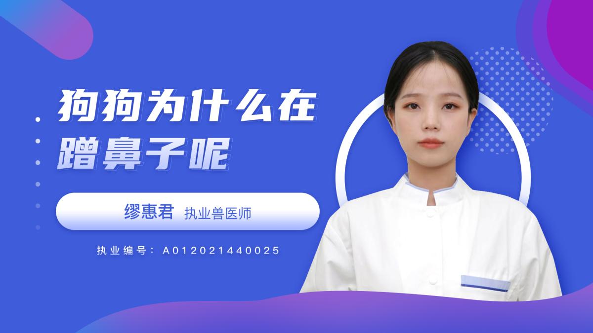 狗狗为什么在蹭鼻子呢？