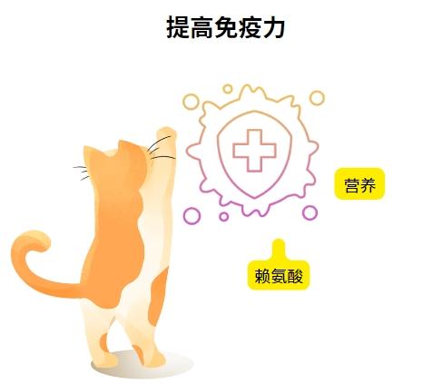 猫咪疱疹病毒怎样才能彻底清除？