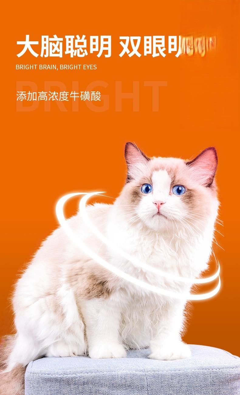 保护猫咪眼睛