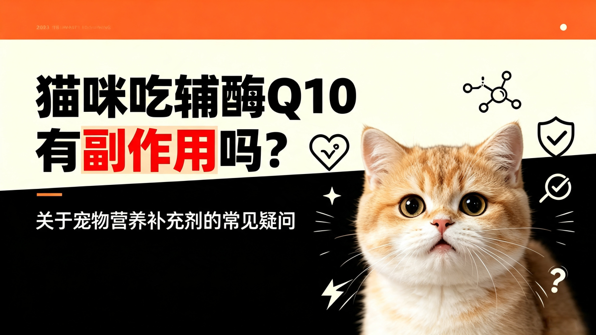 猫咪吃辅酶Q10有副作用吗？