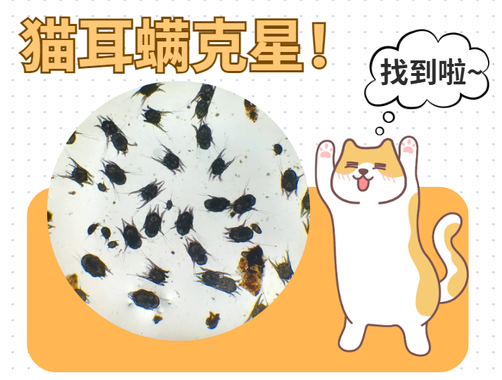 猫耳螨虫用什么药效果好？