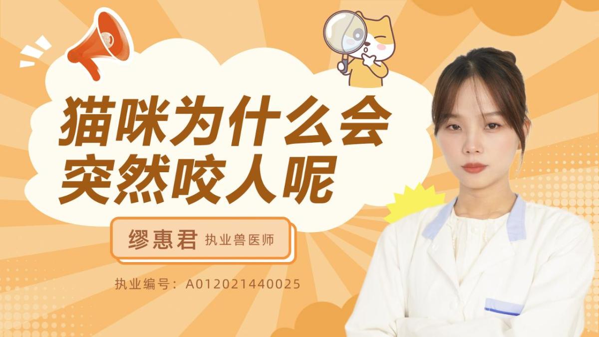 猫咪为什么会突然咬人呢？