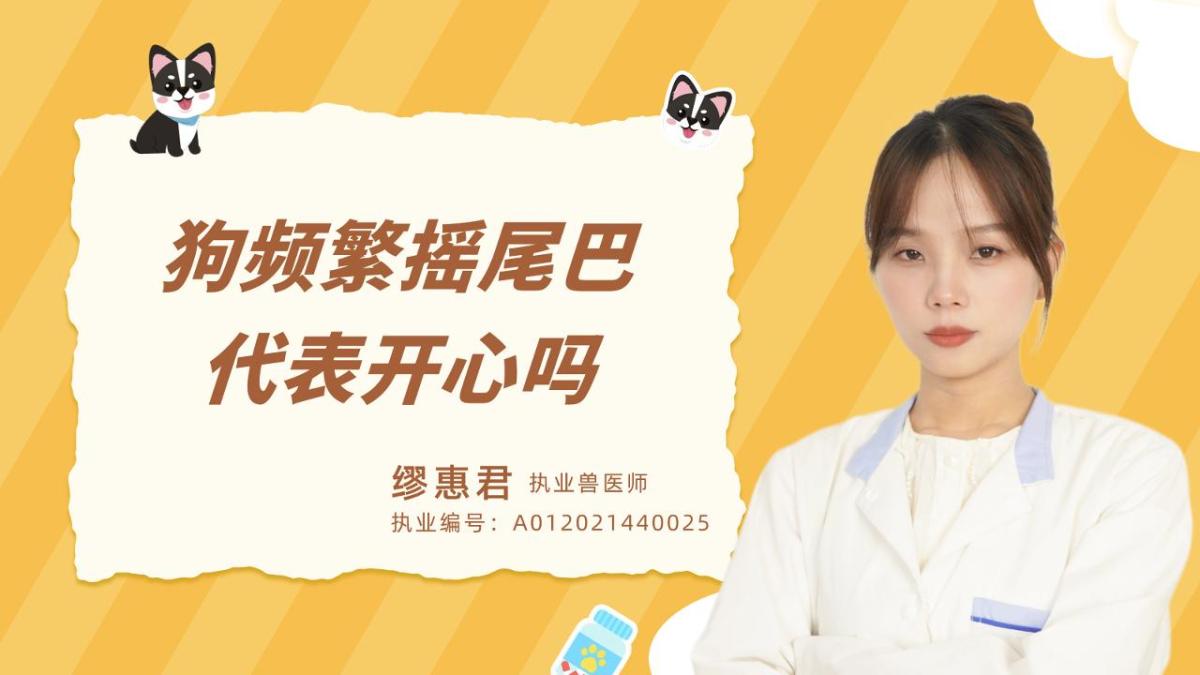 狗狗频繁摇尾巴代表开心吗？