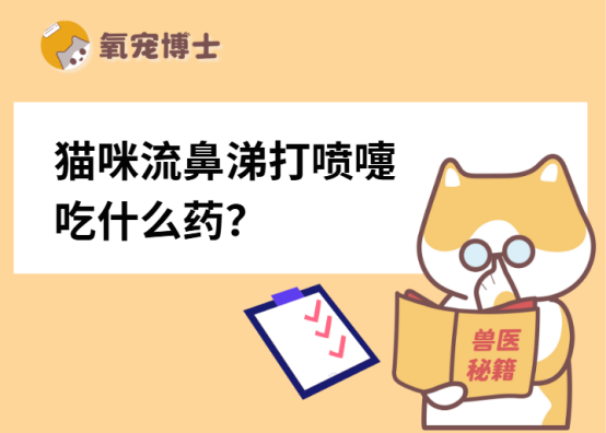 猫咪流鼻涕打喷嚏吃什么药？