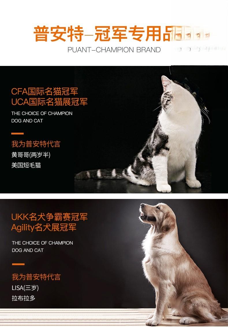 猫犬化痰止咳专业