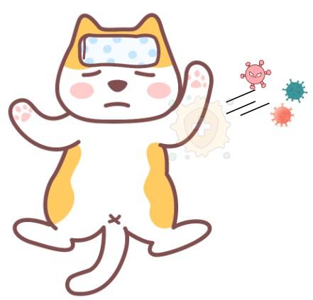 猫鼻支来袭，如何快速识别小猫的异常表现？