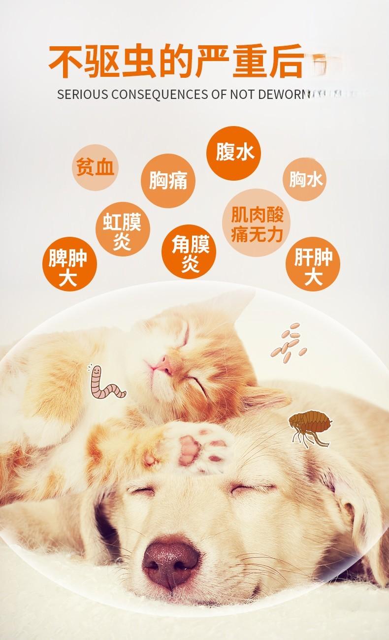 猫寄生虫的后果