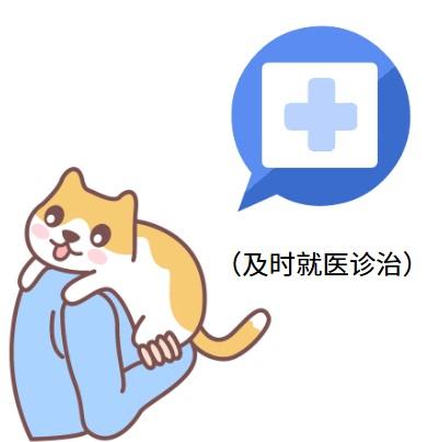 宠物猫感染猫鼻支：症状详解与应对指南